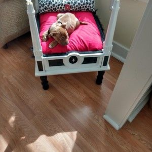 Meet your Posher, José